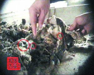 �����ҵ����������ԭ����������(��ͼ)