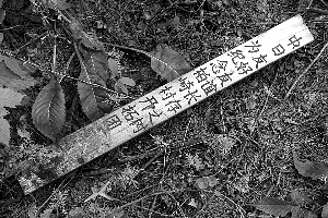 方正县连夜拆除开拓团碑墙 网友要求责任人道歉